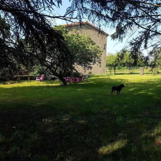 Gite La Roche Paisible Saint-Julien-de-Coppel Bagian luar foto